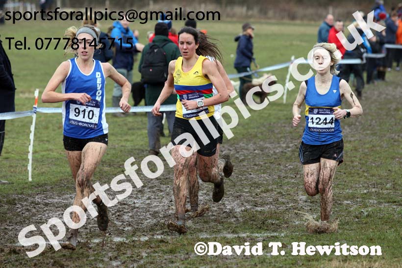 Senior womens 2018 British Inter Counties Cross Country Champs., Prestwold Hall, Loughborough. Photo: David T. Hewitson/Sports for All Pics